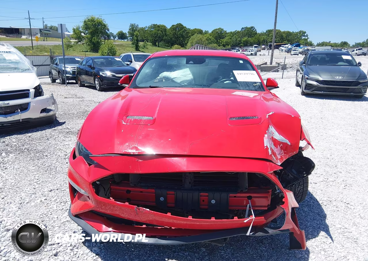 2019 Ford Mustang Gt VIN:1FA6P8CF9K5157803 - 13