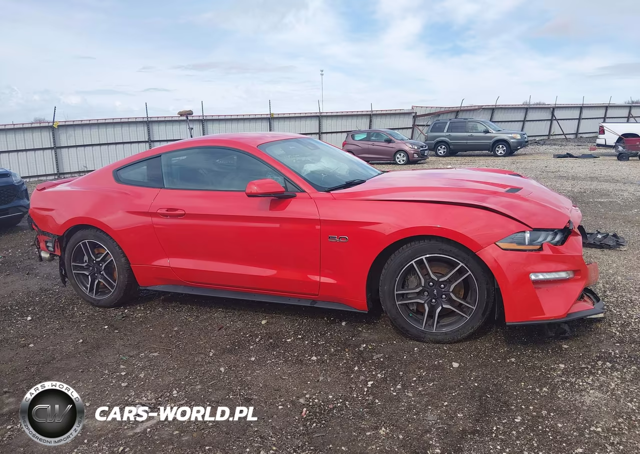 2019 Ford Mustang Gt VIN:1FA6P8CF9K5157803 - 14