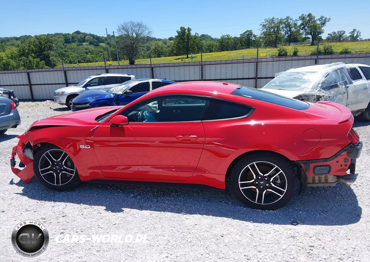 2019 Ford Mustang Gt VIN:1FA6P8CF9K5157803 - 15