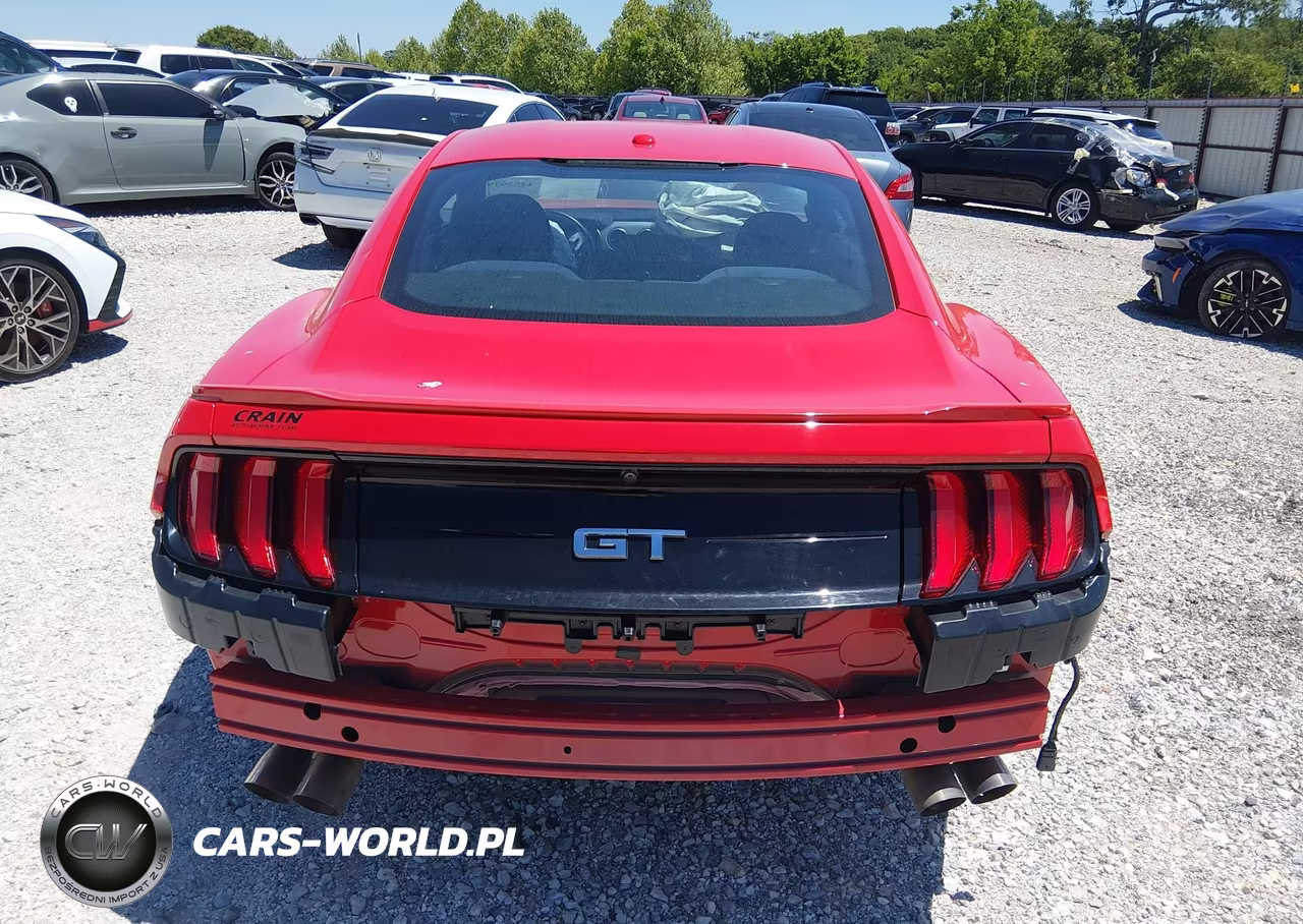 2019 Ford Mustang Gt VIN:1FA6P8CF9K5157803 - 17