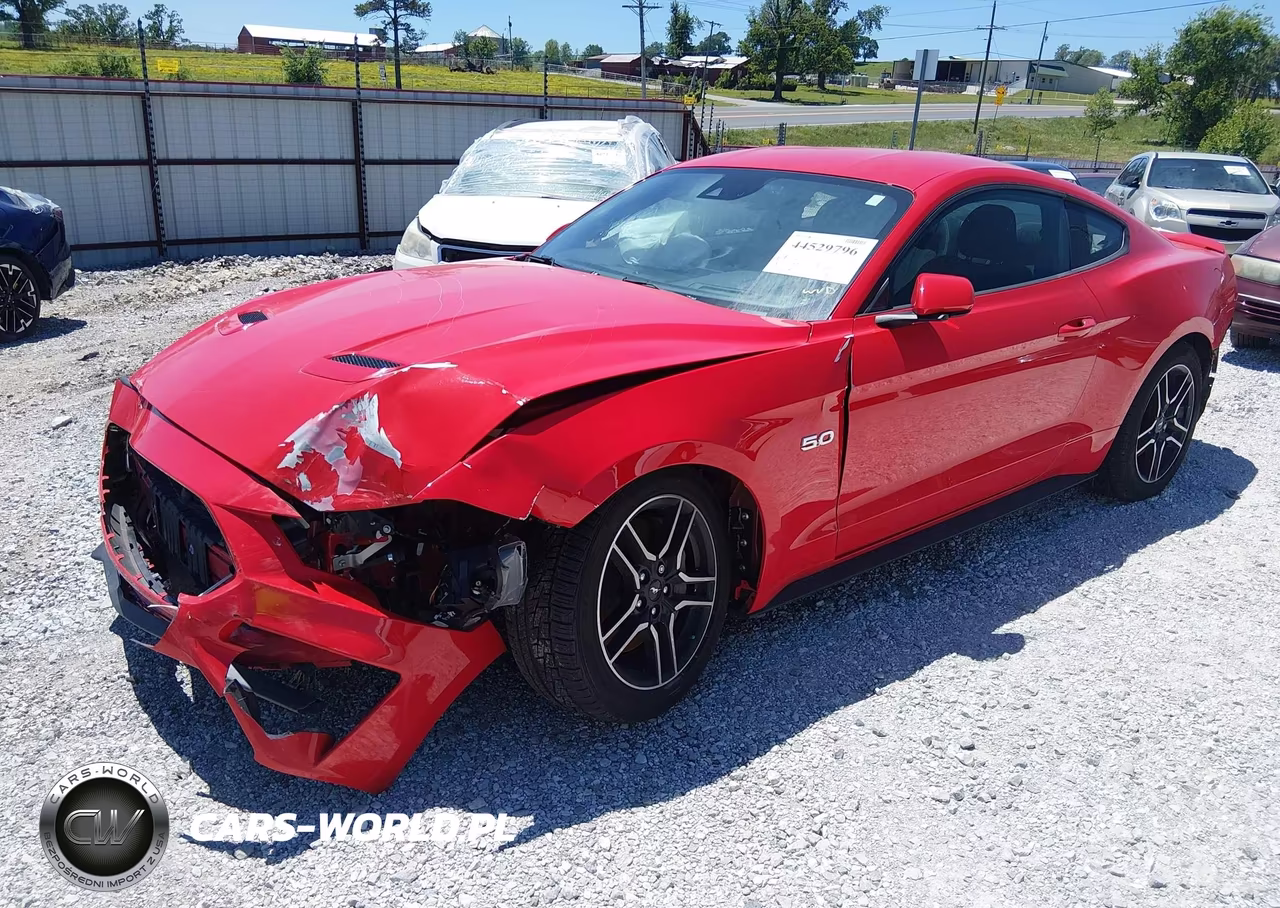 2019 Ford Mustang Gt VIN:1FA6P8CF9K5157803 - 2