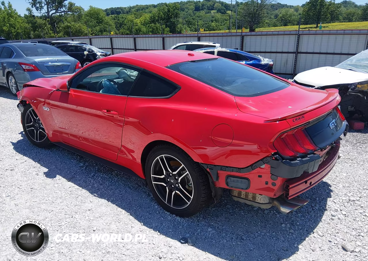 2019 Ford Mustang Gt VIN:1FA6P8CF9K5157803 - 3