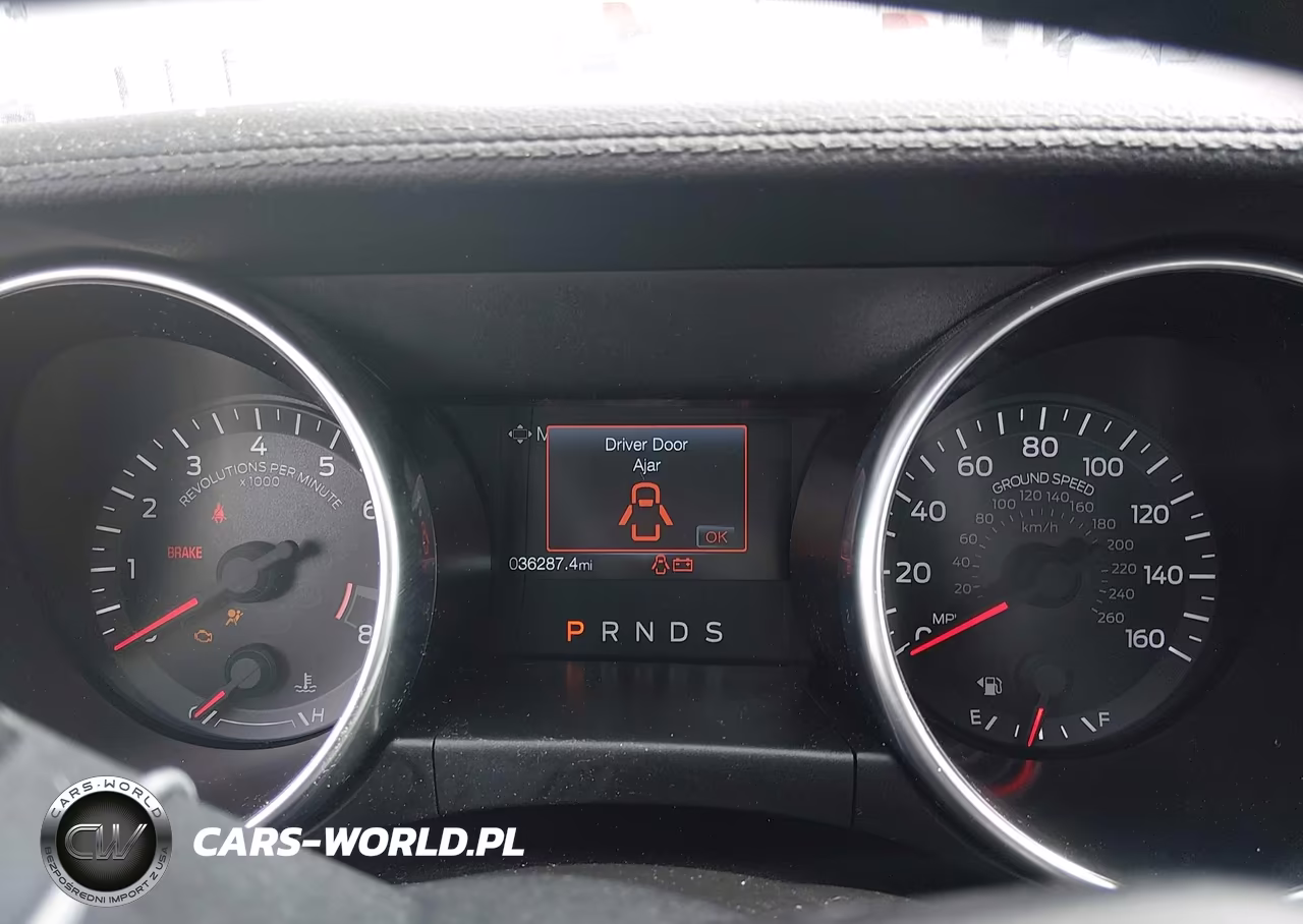 2019 Ford Mustang Gt VIN:1FA6P8CF9K5157803 - 7