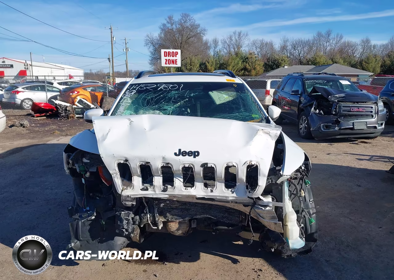 2016 Jeep Cherokee Altitude VIN:1C4PJLCS3GW107870 - 11