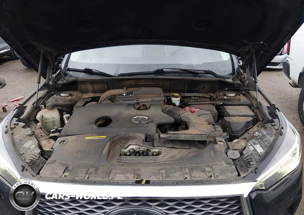 2019 Infiniti Qx50 Essential VIN:3PCAJ5M34KF119287 - 10