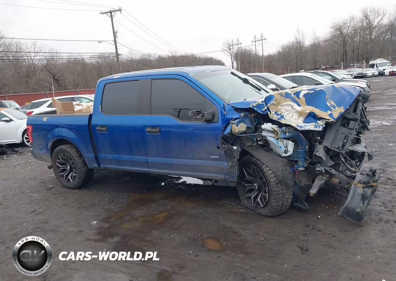 2017 Ford F-150 Xl VIN:1FTEW1CP3HKE53547 - 13