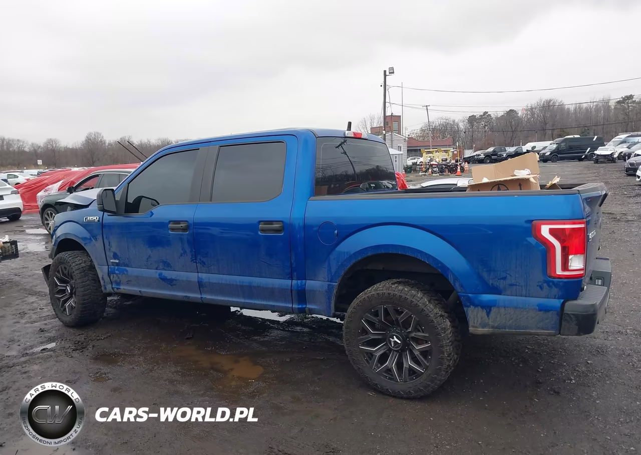 2017 Ford F-150 Xl VIN:1FTEW1CP3HKE53547 - 14