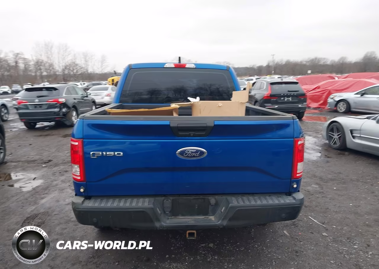 2017 Ford F-150 Xl VIN:1FTEW1CP3HKE53547 - 16