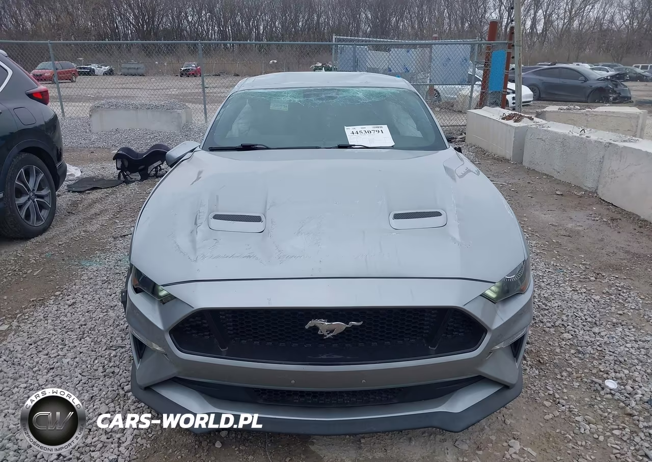 2021 Ford Mustang Gt VIN:1FA6P8CF5M5110030 - 12