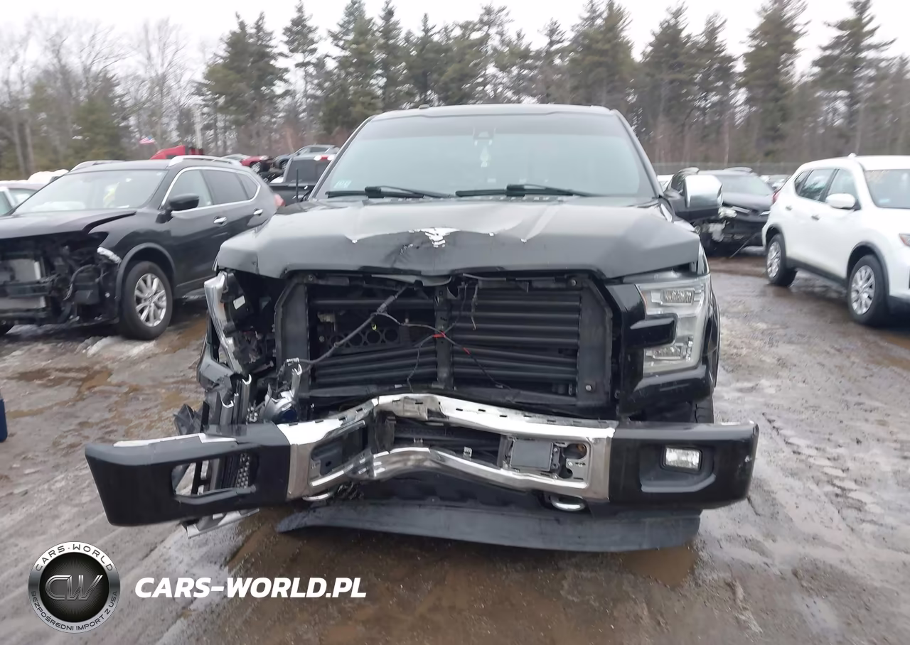 2015 Ford F-150 Platinum VIN:1FTFW1EG3FFB94372 - 13
