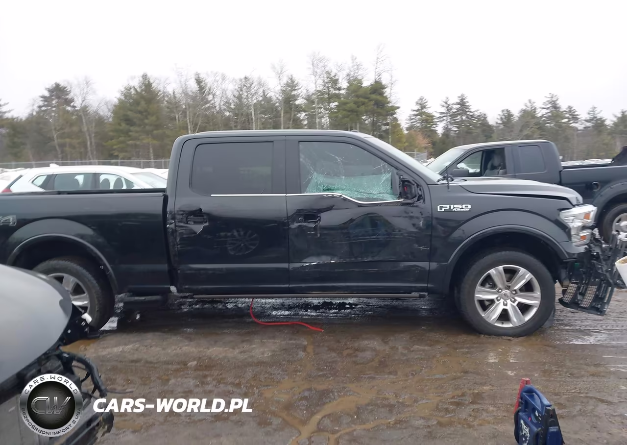 2015 Ford F-150 Platinum VIN:1FTFW1EG3FFB94372 - 14