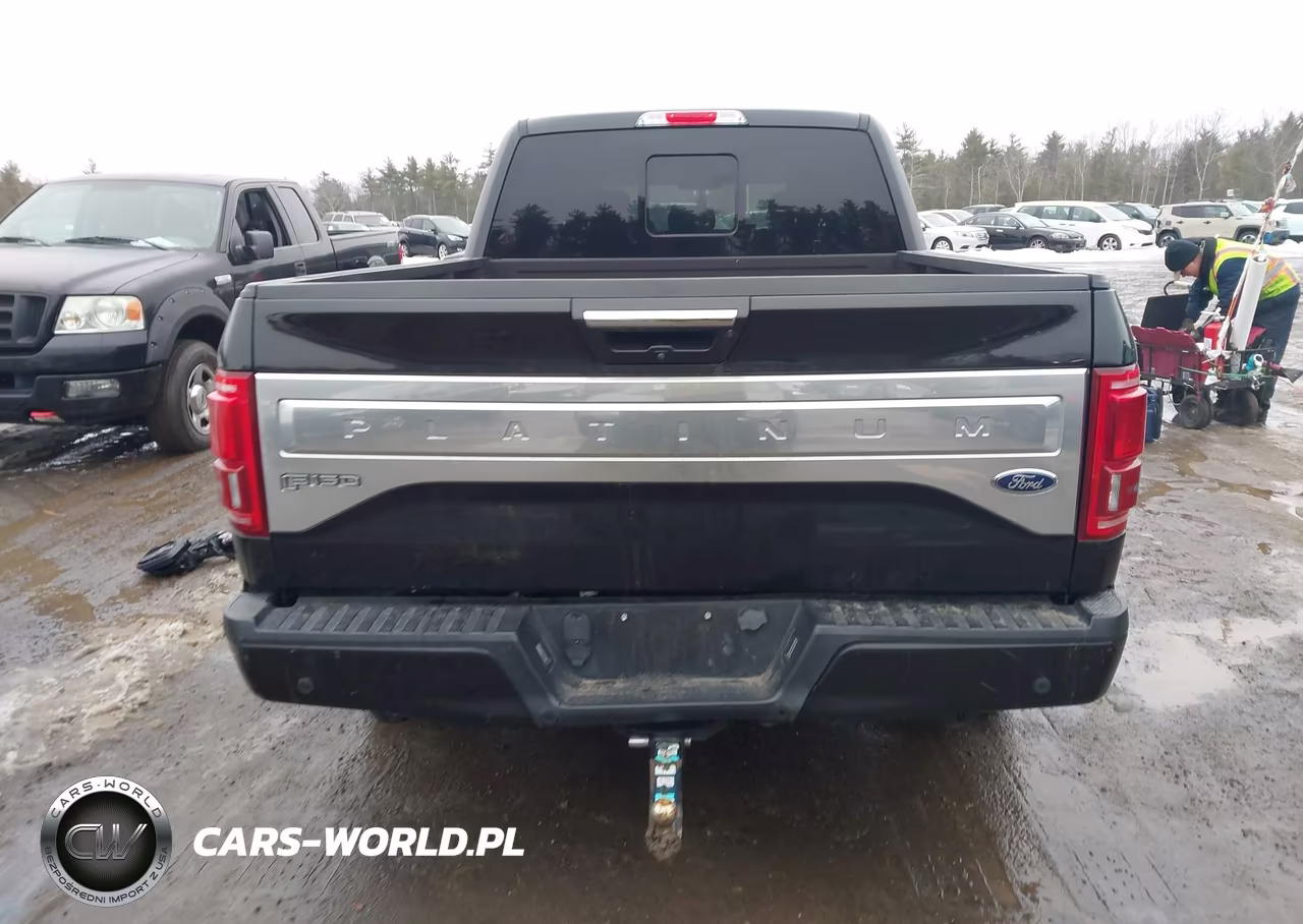 2015 Ford F-150 Platinum VIN:1FTFW1EG3FFB94372 - 17