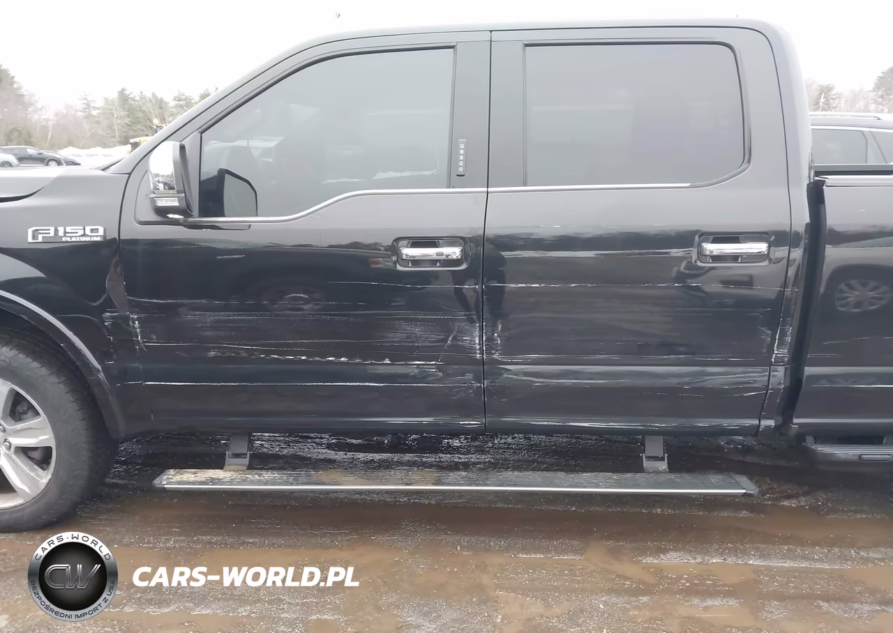 2015 Ford F-150 Platinum VIN:1FTFW1EG3FFB94372 - 18