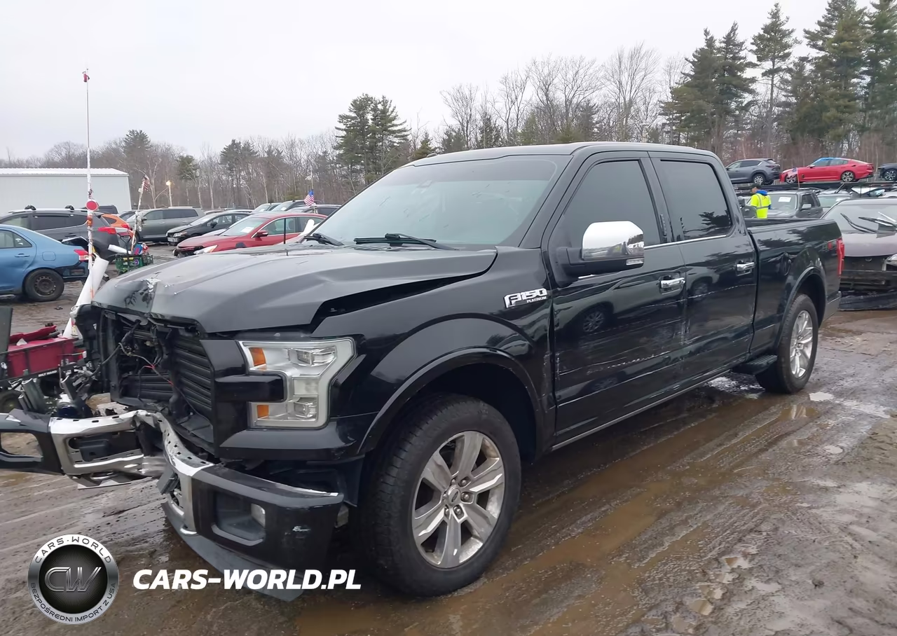 2015 Ford F-150 Platinum VIN:1FTFW1EG3FFB94372 - 2