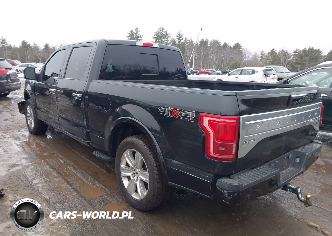 2015 Ford F-150 Platinum VIN:1FTFW1EG3FFB94372 - 3