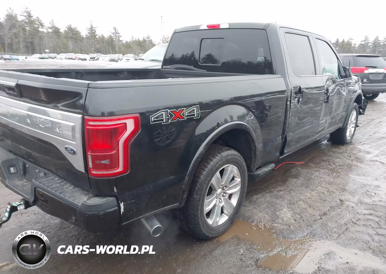 2015 Ford F-150 Platinum VIN:1FTFW1EG3FFB94372 - 4
