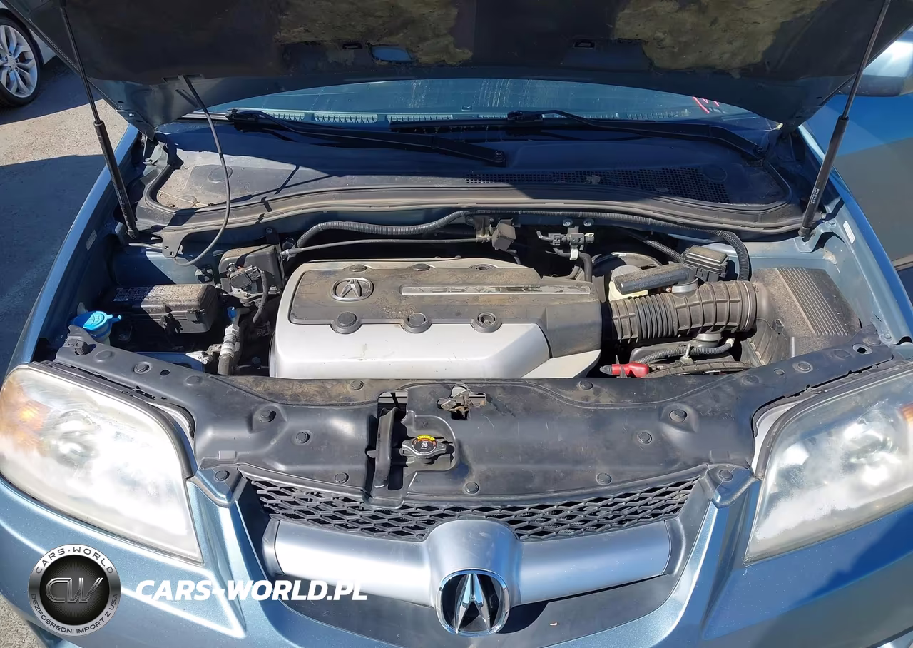 2006 Acura Mdx VIN:2HNYD18256H531759 - 10