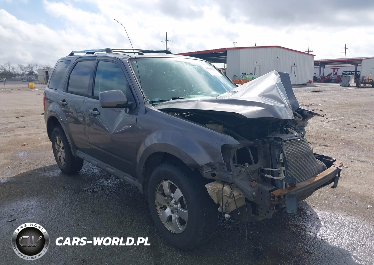 2010 Ford Escape Limited