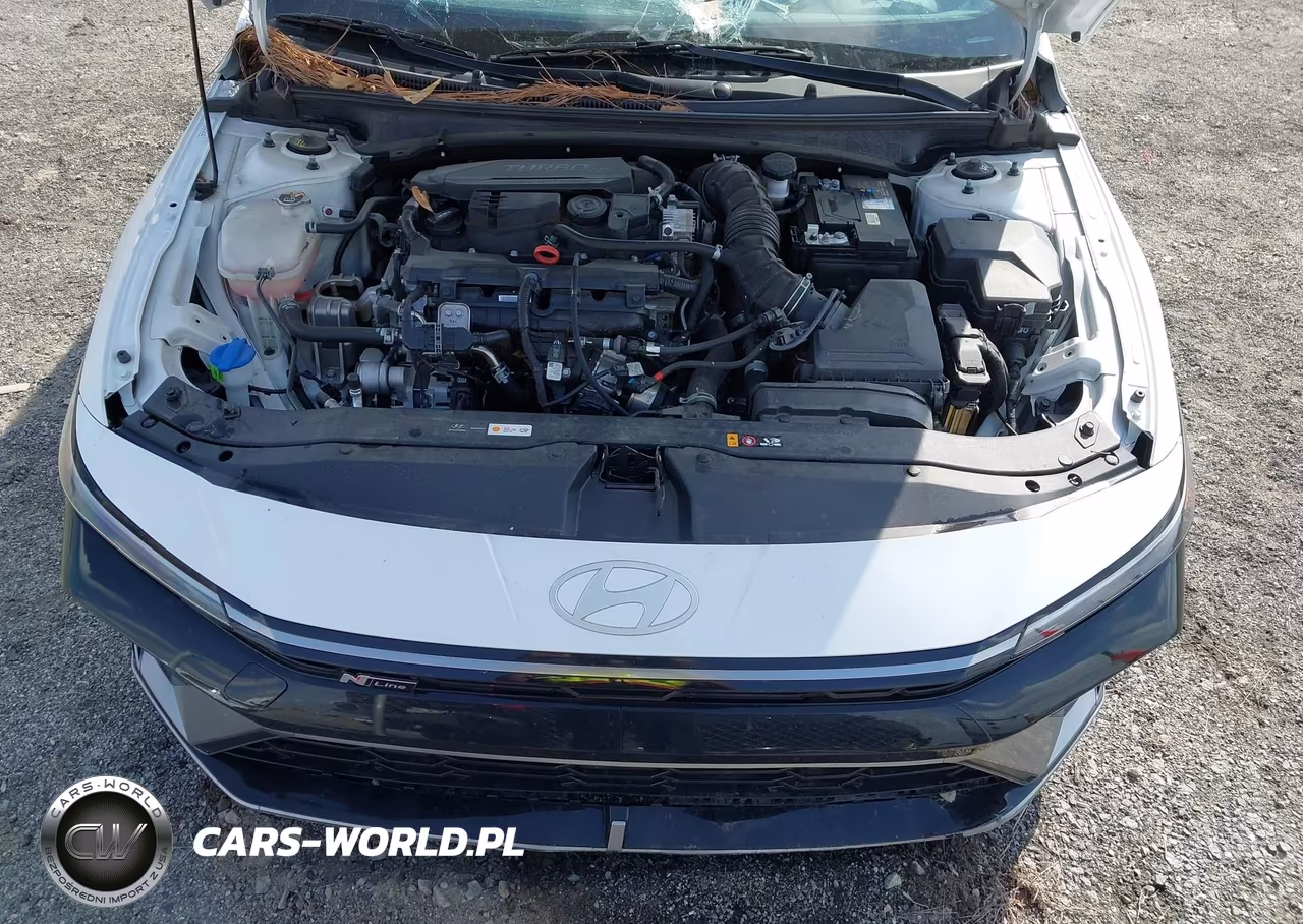 2024 Hyundai Elantra N Line VIN:KMHLR4DF4RU822973 - 10
