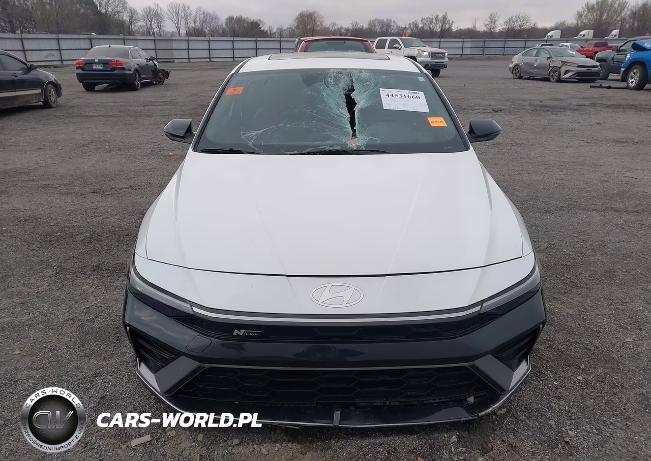 2024 Hyundai Elantra N Line VIN:KMHLR4DF4RU822973 - 12