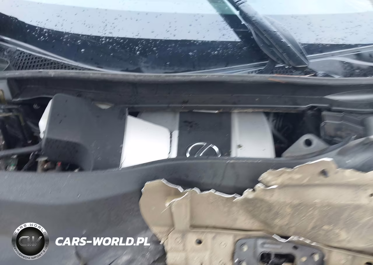 2019 Lexus Rx 450H VIN:2T2BGMCA2KC034395 - 10
