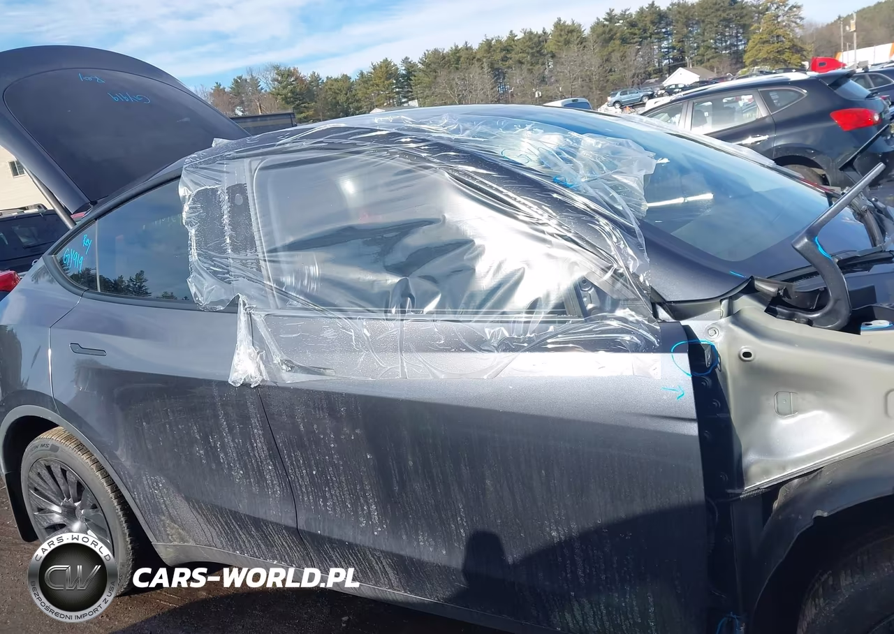 2024 Tesla Model Y Long Range Dual Motor All-Wheel Drive VIN:7SAYGDEE4RA284919 - 14