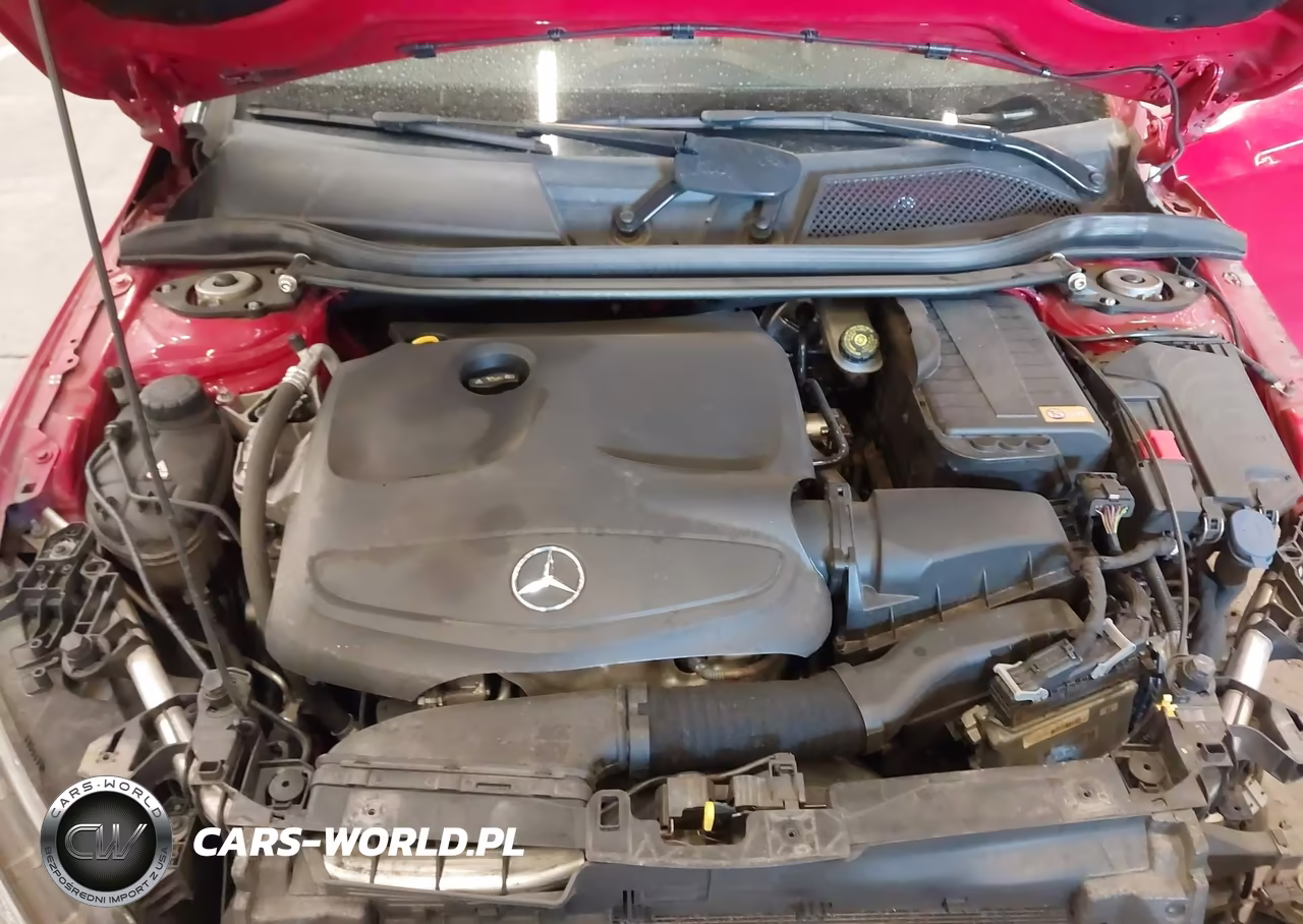 2014 Mercedes-Benz Cla 250 VIN:WDDSJ4EB9EN040424 - 10