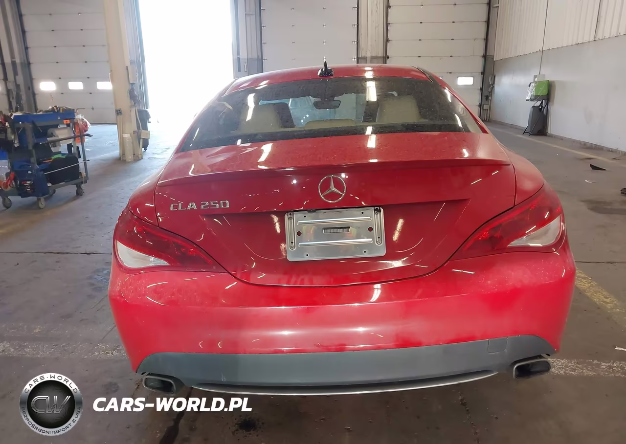 2014 Mercedes-Benz Cla 250 VIN:WDDSJ4EB9EN040424 - 16