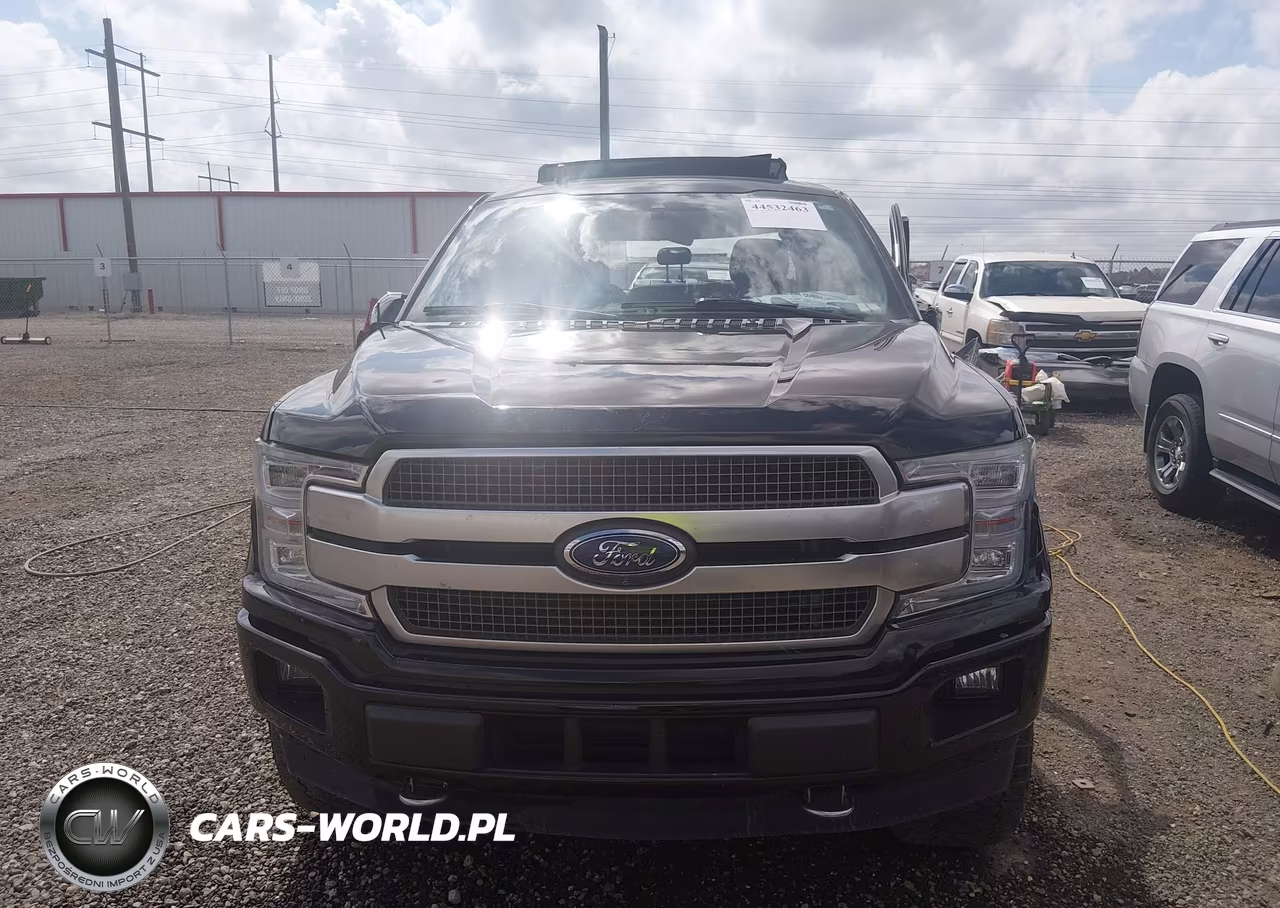 2020 Ford F-150 Platinum VIN:1FTFW1E19LFA57363 - 13