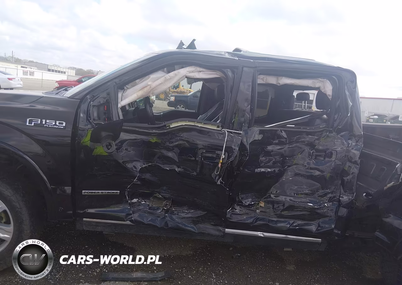 2020 Ford F-150 Platinum VIN:1FTFW1E19LFA57363 - 15