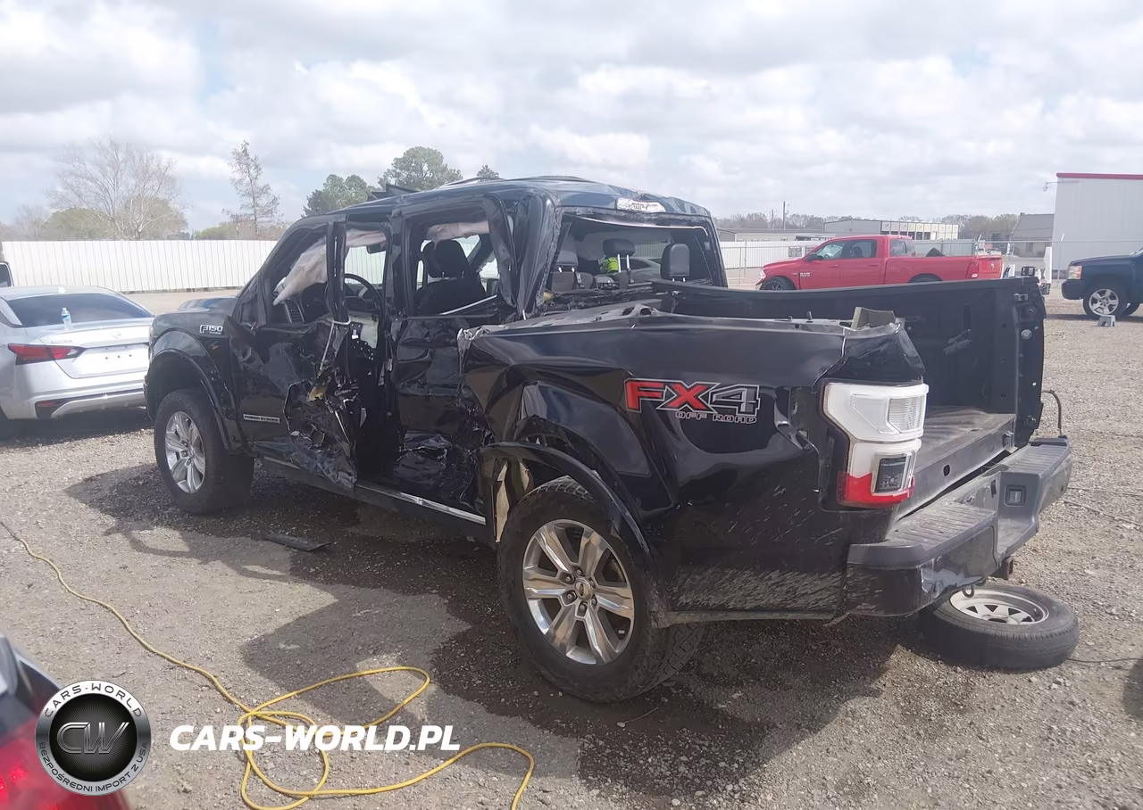 2020 Ford F-150 Platinum VIN:1FTFW1E19LFA57363 - 3