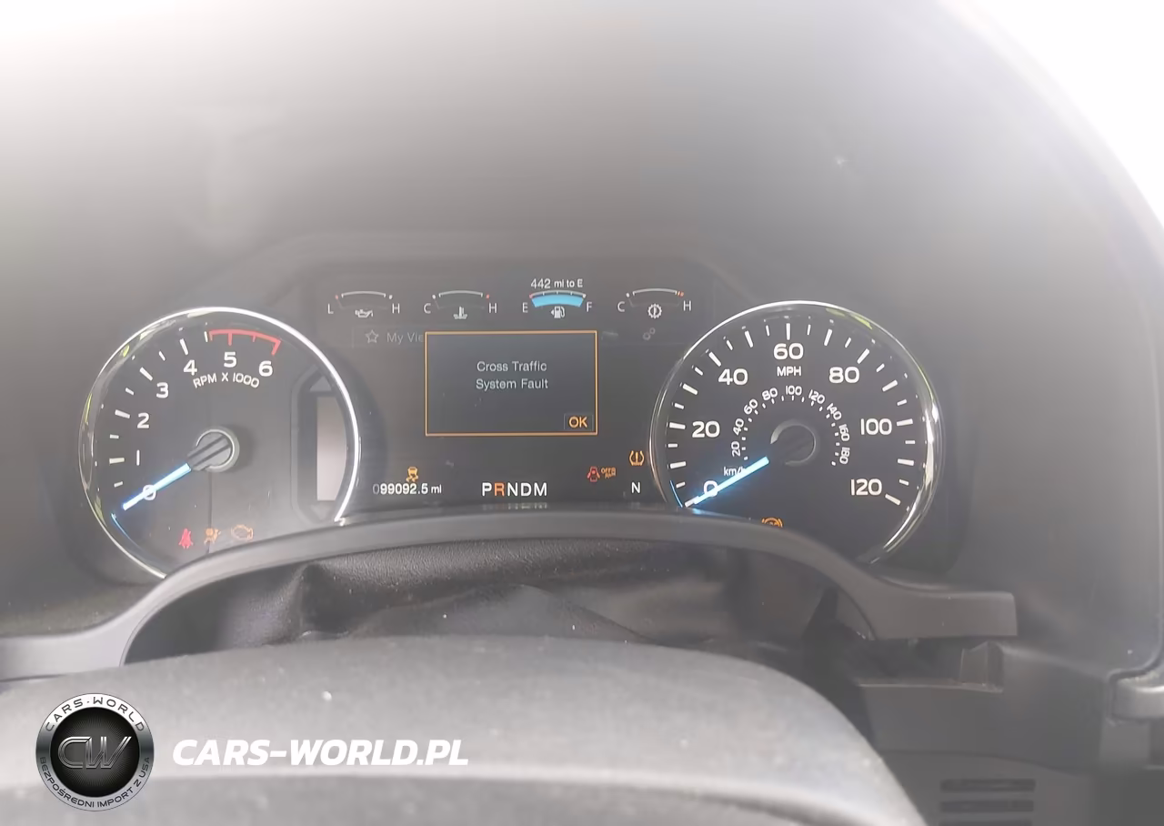 2020 Ford F-150 Platinum VIN:1FTFW1E19LFA57363 - 7