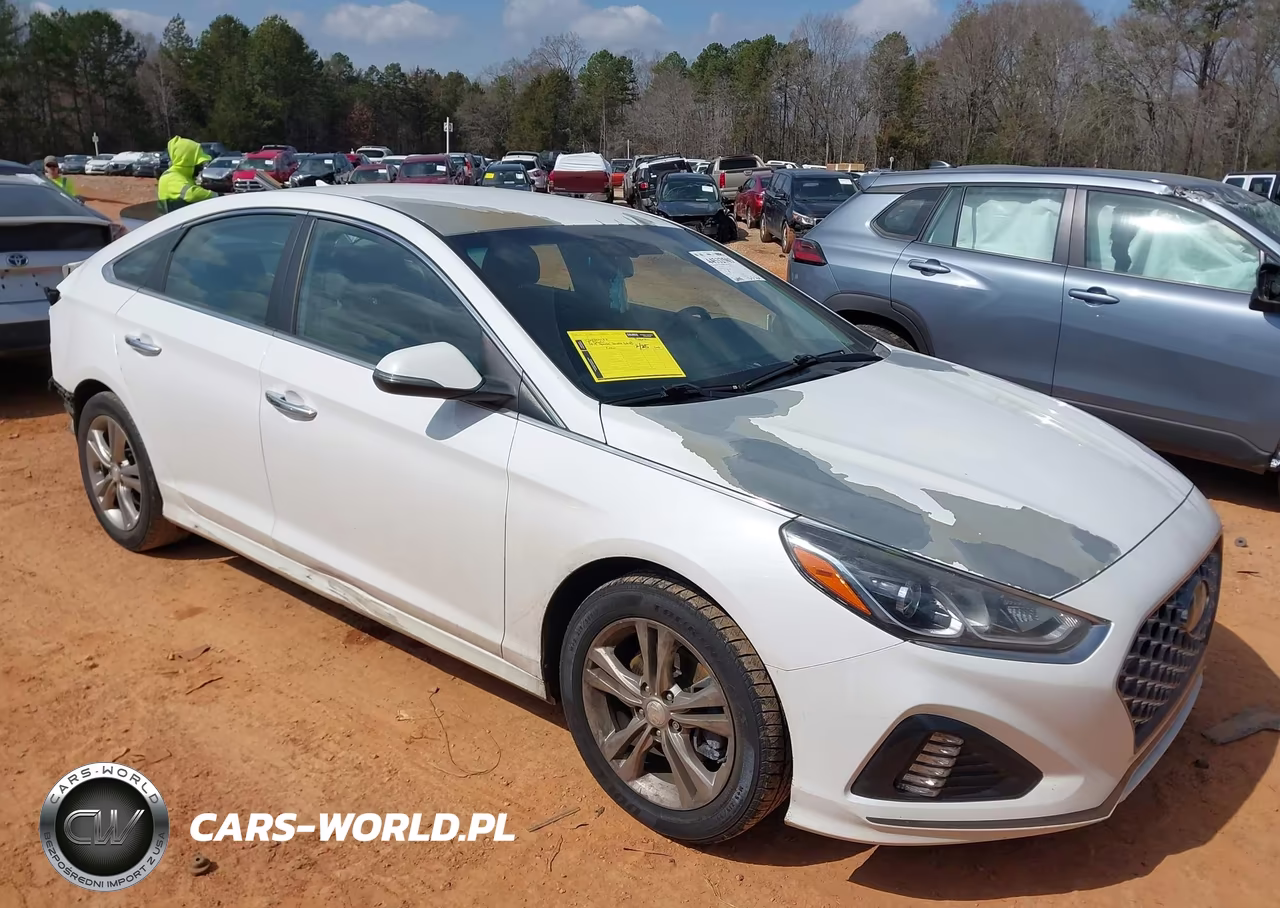 2019 Hyundai Sonata Sel