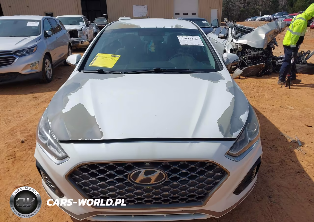2019 Hyundai Sonata Sel VIN:5NPE34AF1KH815840 - 12