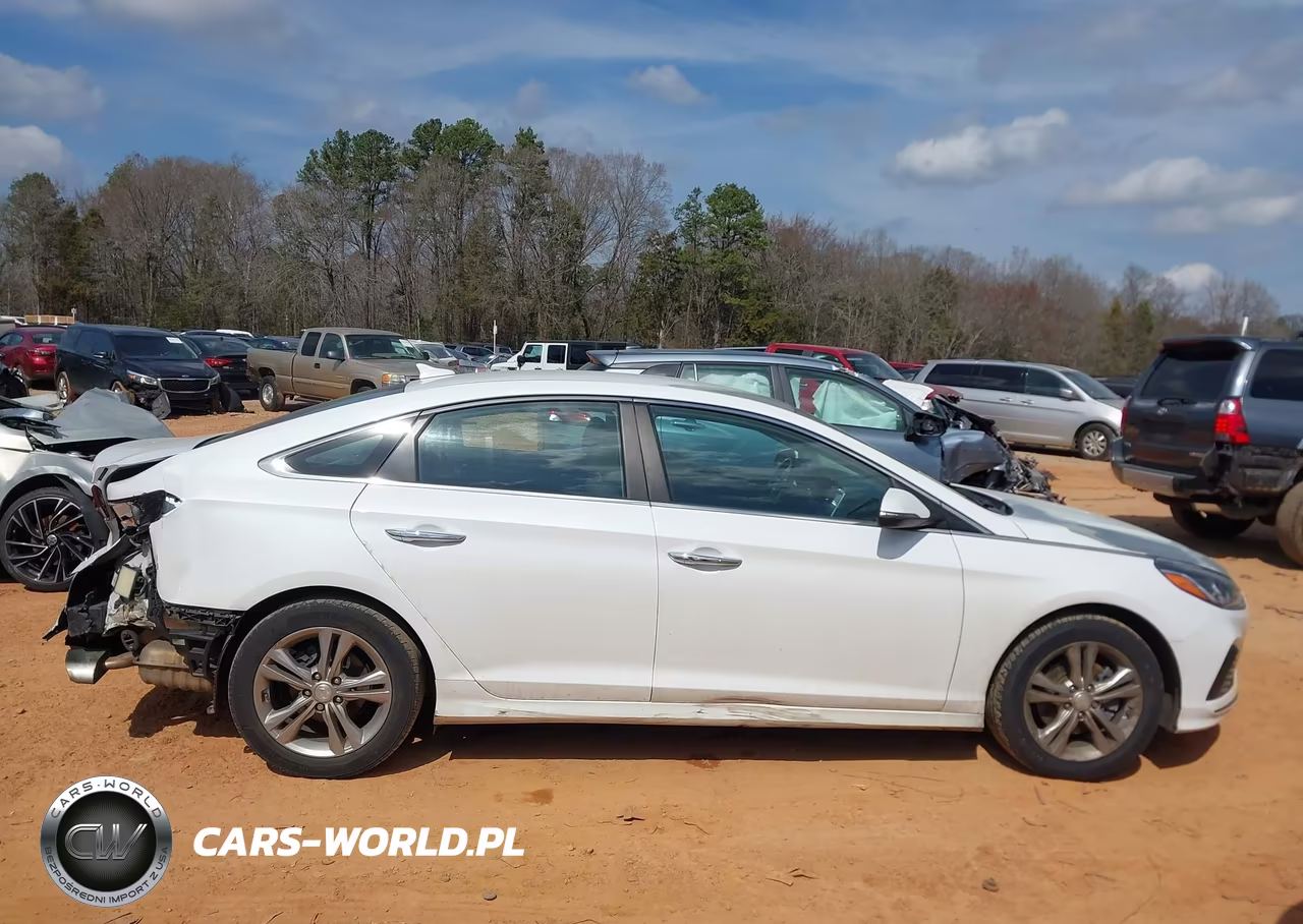 2019 Hyundai Sonata Sel VIN:5NPE34AF1KH815840 - 13