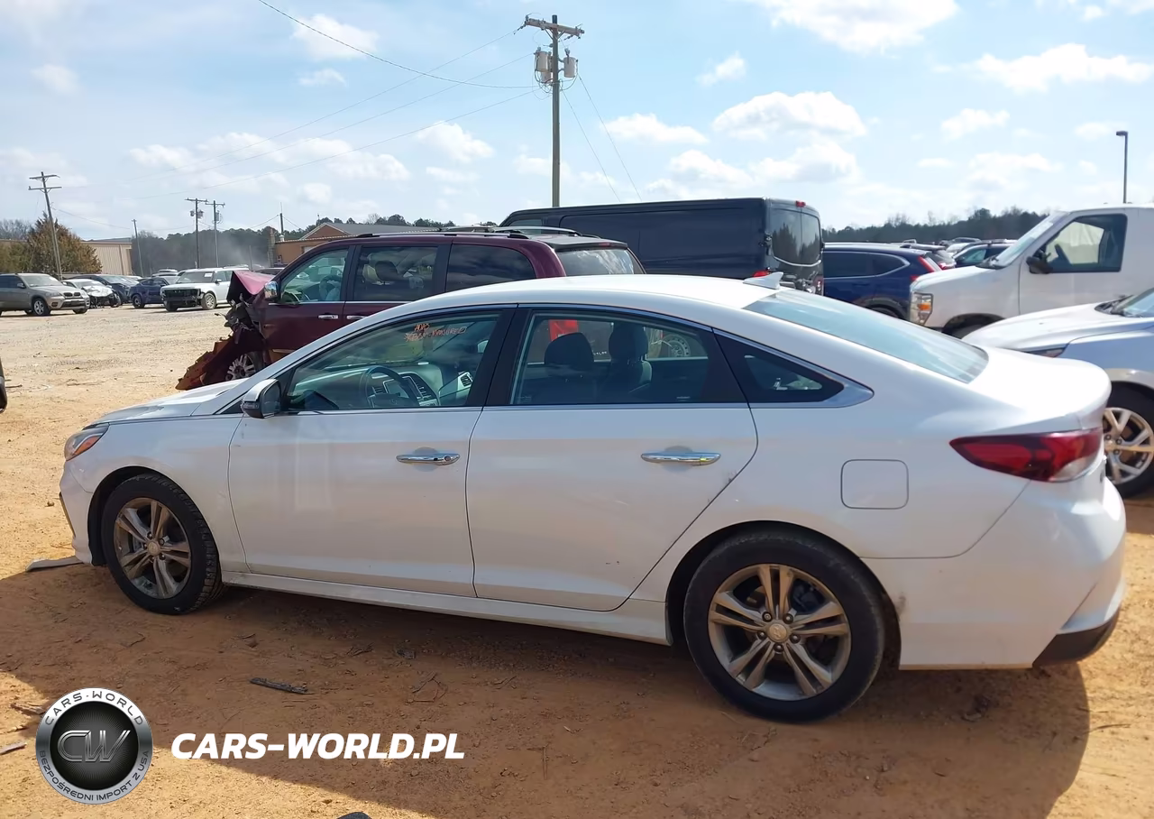 2019 Hyundai Sonata Sel VIN:5NPE34AF1KH815840 - 14