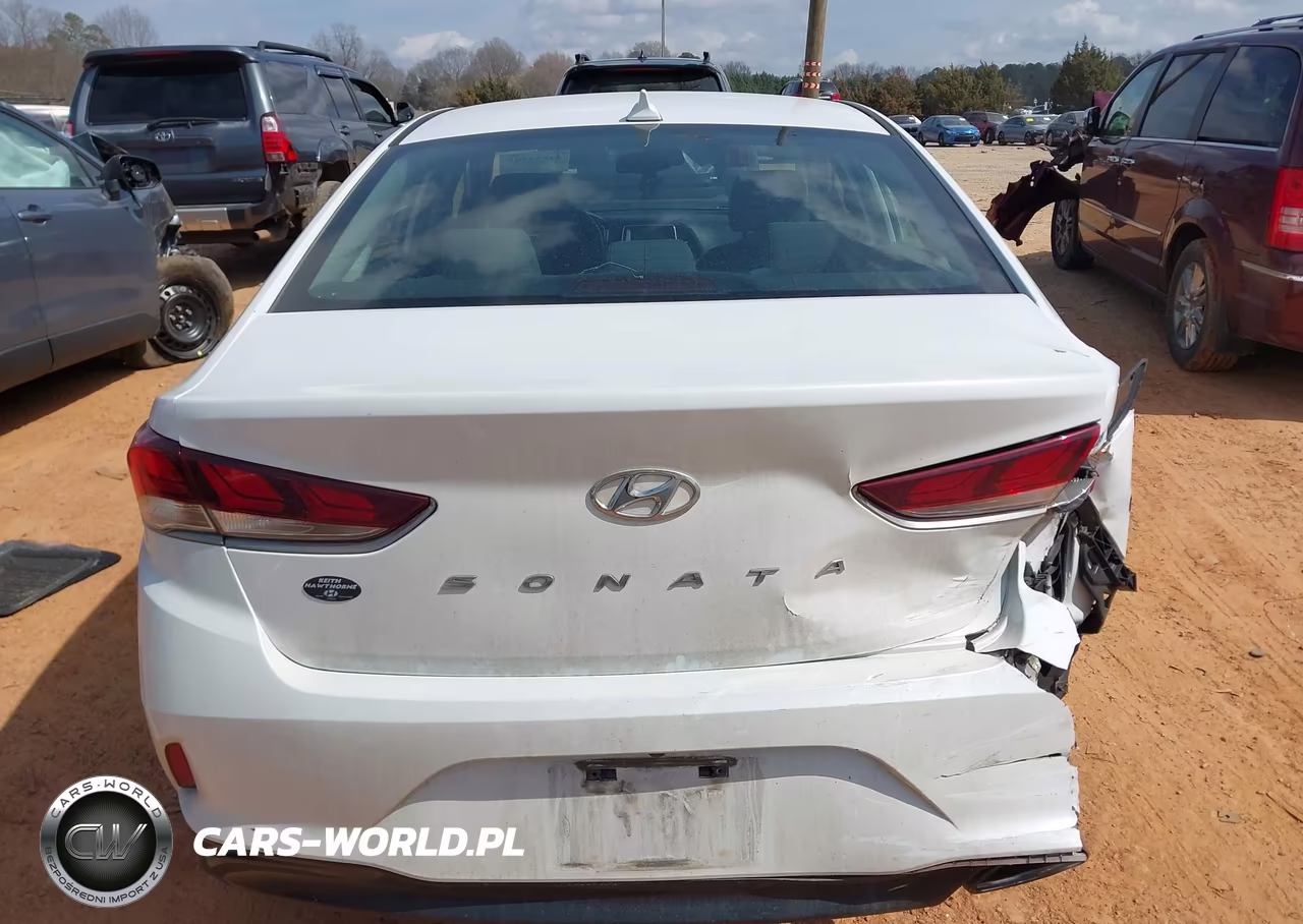 2019 Hyundai Sonata Sel VIN:5NPE34AF1KH815840 - 16
