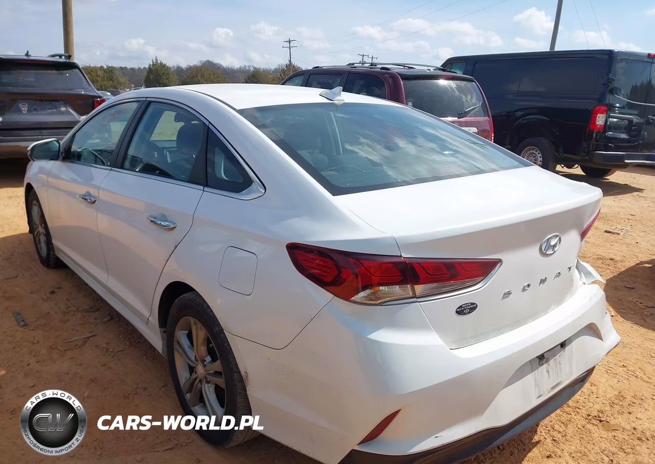 2019 Hyundai Sonata Sel VIN:5NPE34AF1KH815840 - 3