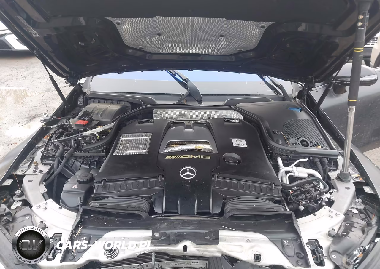 2019 Mercedes-Benz Amg Gt 63 4-Door Coupe S VIN:WDD7X8KB4KA000268 - 10