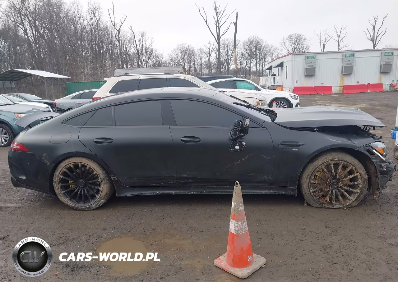 2019 Mercedes-Benz Amg Gt 63 4-Door Coupe S VIN:WDD7X8KB4KA000268 - 13