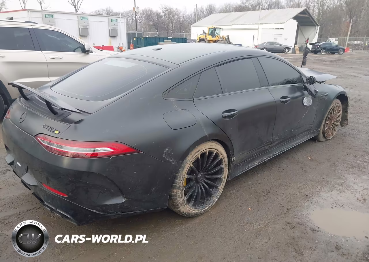 2019 Mercedes-Benz Amg Gt 63 4-Door Coupe S VIN:WDD7X8KB4KA000268 - 4