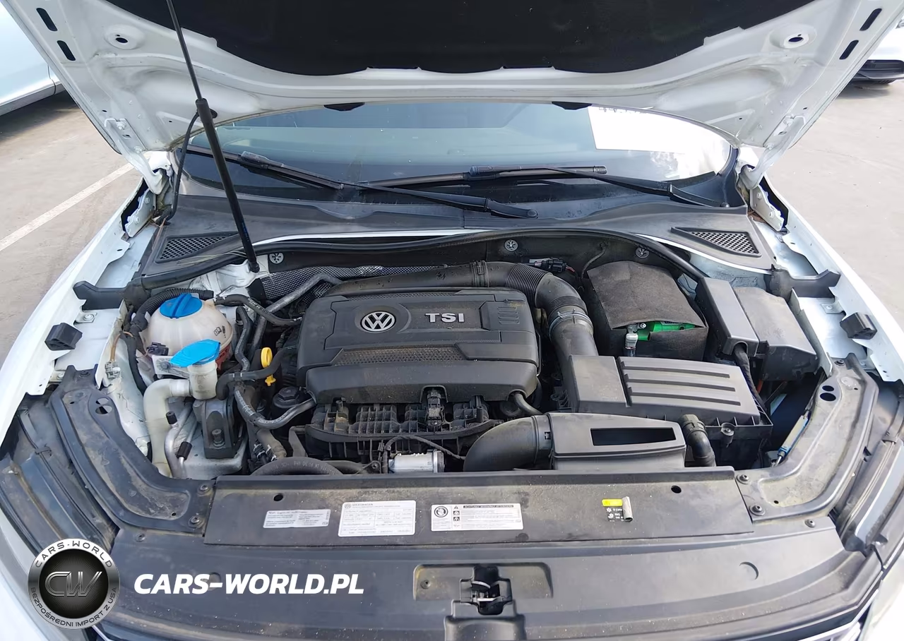 2017 Volkswagen Passat 1.8T S VIN:1VWAT7A35HC017915 - 10