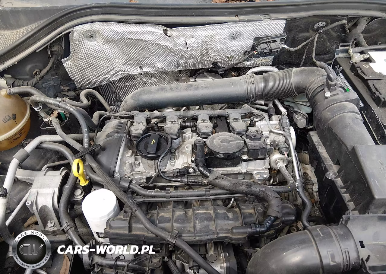 2014 Volkswagen Tiguan Sel VIN:WVGAV3AXXEW059222 - 10