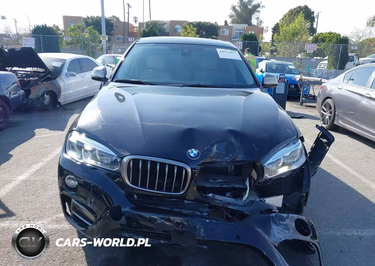 2016 BMW X6 xDrive35I VIN:5UXKU2C53G0N81261 - 12
