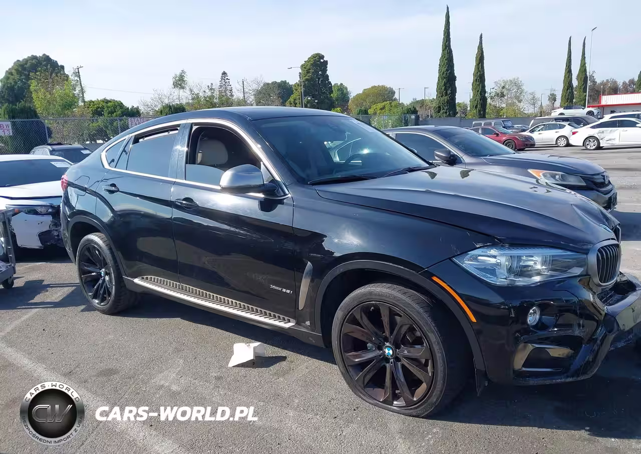 2016 BMW X6 xDrive35I VIN:5UXKU2C53G0N81261 - 13