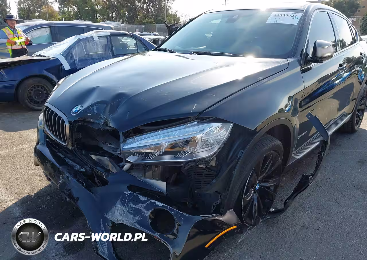 2016 BMW X6 xDrive35I VIN:5UXKU2C53G0N81261 - 6