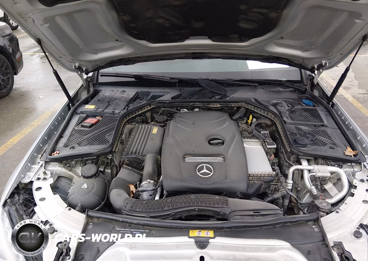 2015 Mercedes-Benz C 300 Sport VIN:55SWF4JB0FU067996 - 10
