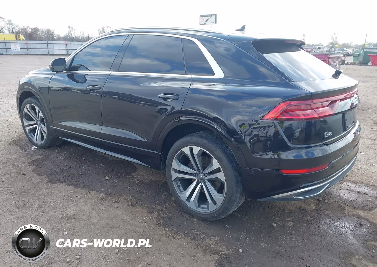 2019 Audi Q8 55 Premium VIN:WA1CVAF10KD015009 - 3