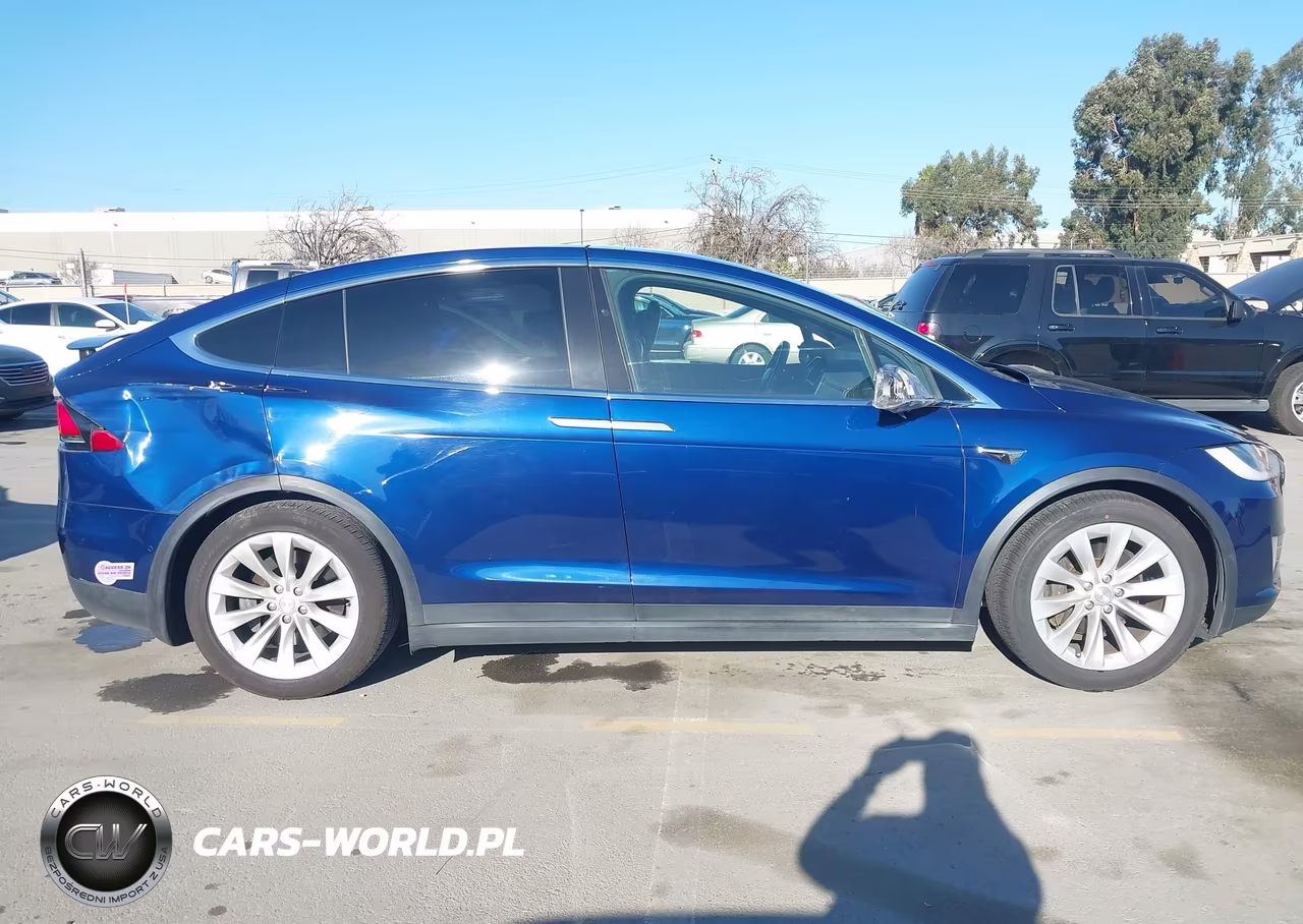 2017 Tesla Model X 100D-75D-90D VIN:5YJXCBE29HF054003 - 13