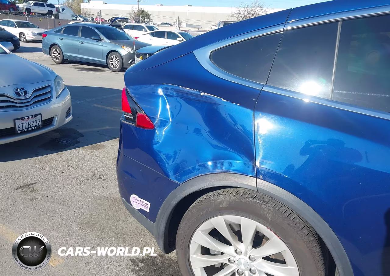 2017 Tesla Model X 100D-75D-90D VIN:5YJXCBE29HF054003 - 6